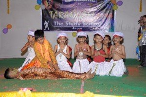 Annual Function (17)